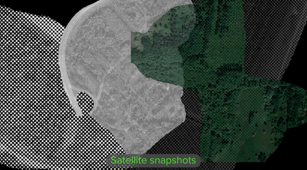 New video artwork, 'In Between Green and Grey' commissioned by Arena for Journalism Europe premiering at University of Cambridge